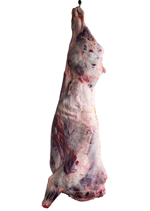 Hanging-Beef