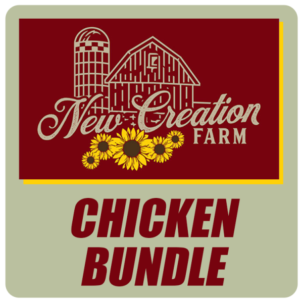 Chicken Bundle